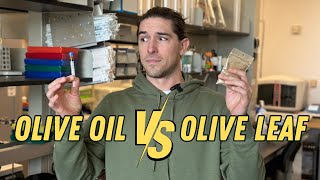 Olive Leaf vs Olive Oil Extract Which is Better [upl. by Gniliem27]