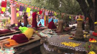 On the Path of the Buddha Buddhist Pilgrimage in North India and Nepal [upl. by Eelhsa712]