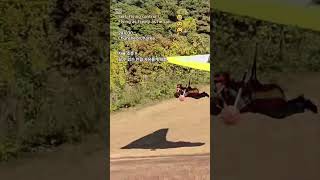 자유롭게 조종  😁🤣 Hang gliding Paragliding 지혜 좋은 글 [upl. by Lewej268]