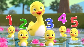 Number Song  Five Little Duckies  More Baby Songs  Beep Beep Nursery Rhymes [upl. by Annhej]