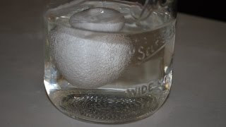 Dissolving Calcium with Acid [upl. by Ima319]