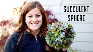 How to Make a Succulent Sphere [upl. by Ellenod]