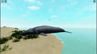 Beached blue whale  A cenozoic survival game link in description [upl. by Cutty]