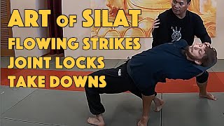 Silat Strikes and Finishes  Silat Suffian Bela Diri [upl. by Lexy]