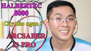 Halbertec 8000 so kè Arcsaber 11 Pro  Chọn cây nào đây anh em [upl. by Dj]