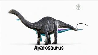 Dinosaur Discoveries Apatosaurus [upl. by Pellikka]