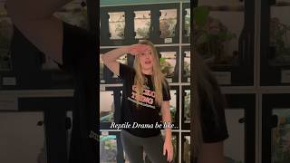 Reptile drama is hilarious 😂 hiphop funny memes crestedgecko reptiles [upl. by Body]