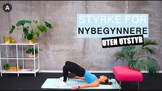 Styrketrening for nybegynnere uten utstyr💦  Disse øvelsene kan ALLE gjøre [upl. by Merete810]