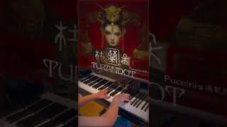 ‘Nessun Dorma’ from Puccini‘s final opera Turandot shorts [upl. by Lean]