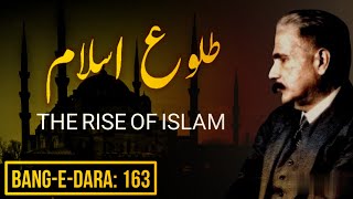 BaangeDara 163  TulueIslam  THE RISE OF ISLAM  Allama Iqbal  Iqbaliyat  Mukammalbaat [upl. by Wharton]