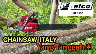 Chainsaw efco Mt 6500 membelah kayu Akasia [upl. by Lenee845]