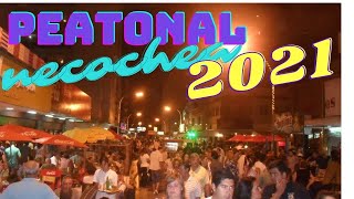 PEATONAL 83  NECOCHEA 2021 [upl. by Janek]