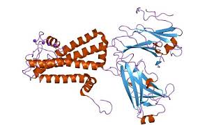 Inwardly rectifying potassium channel  Wikipedia audio article [upl. by Nehtiek]