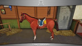 Horse World 3D  My Riding Horse part 8 Horse Game [upl. by Savory523]