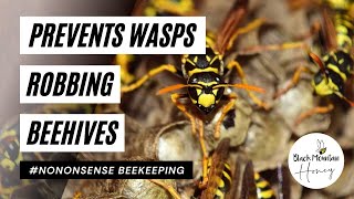 Prevent Wasps Attacks  How to Prevent Wasps Robbing Beehives  Stop Wasps Attacking Bees [upl. by Lindell]