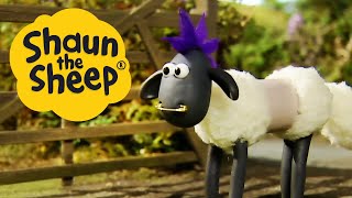 Fleeced  Shaun the Sheep  S1 Full Episodes [upl. by Nwahsar]