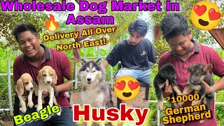 Cheapest Dog Market In Assam 🐕🔥😍  কম দামত কুকুৰ লোক  subovlogs27 [upl. by Ario]