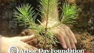 Arbor Day Foundation  Television Commercial  2009 [upl. by Thistle935]