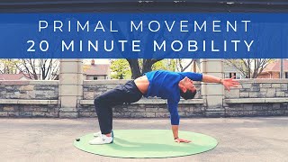 Build MOBILITY amp STRENGTH without weights  Primal Movement Bodyweight Workout [upl. by Imoyik]