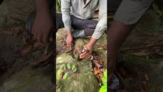 Thats a Really Amazing Rock Hounding Journey 🤩gem gems preciousgem crystal [upl. by Meter]