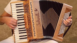 Italian Music TARANTELLA NAPOLETANA accordion Fisarmonica Akkordeonmusik Acordeon The Godfather [upl. by Esemaj720]