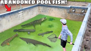 Saving Fish LIVING in ABANDONED POOL [upl. by Buseck972]