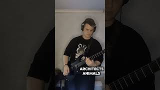 Architects  Animals Cover guitar music metal metalcore cover guitarcover architects [upl. by Lewiss]