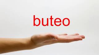 How to Pronounce buteo  American English [upl. by Binnie818]