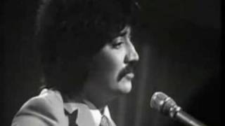 Peter Sarstedt  Where Do You Go To My Lovely With Lyrics [upl. by Elleved]