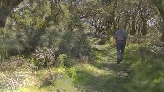 WONTHAGGI STATE COAL MINE 1  STATION AREA TUNNELS [upl. by Inittirb]