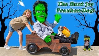 Assistant Hunts for Franks silly Doggy with Wiggles and Waggles [upl. by Laurice]