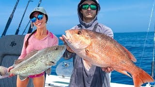 CUT BAIT Catches Big Fish  Offshore Cedar Key [upl. by Mis760]