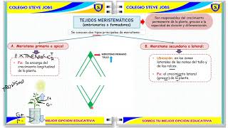 HISTOLOGÍA VEGETAL I [upl. by Andre804]