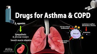 Pharmacology Drugs for Asthma and COPD Animation [upl. by Arathorn]