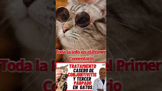 🟢 TRATAMIENTO CASERO DE LA CONJUNTIVITIS EN GATOS 🟢 [upl. by Nodnerb671]