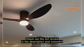 Review AIRERSINGAPORE Standard Ceiling Fan with LED 42quot 52quot [upl. by Haily534]