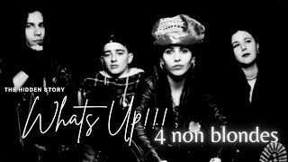 The Hidden Story Behind 4 non blondes Iconic Song Whats Up [upl. by Hallsy58]