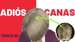 COMO CUBRIR TOTALMENTE LAS CANAS CON ESTAS 3 TÉCNICAS FÁCIL Y RÁPIDOHOW TO COVER TOTALLY THE grays [upl. by Anovahs]