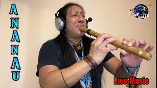 ANANAU  Native Indian Music cover Jose Males [upl. by Olivann]