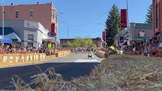 3rd annual Septemberfest Soapbox Derby [upl. by Anihpesoj437]