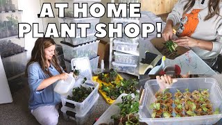 WEEKLY PLANT SHOP ROUTINE  Running an Online Houseplant Shop from Home [upl. by Ching71]