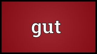 Gut Meaning [upl. by Alrats]