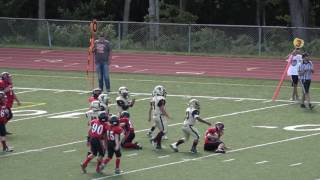 ChartiersHouston vs Waynesburg D1 [upl. by Madoc]