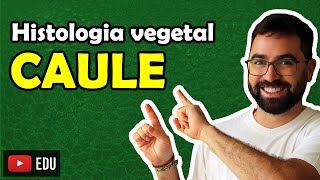 Histologia do Caule  Aula 09  Módulo V Botânica  Prof Guilherme [upl. by Livvyy]