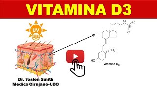 VITAMINA D COLECALCIFEROL SINTESIS FUNCIÓN ¡FÁCIL [upl. by Ativla]