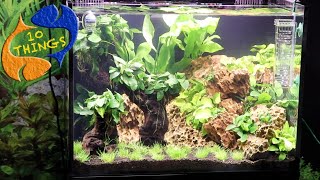 Best Ways To Maintain A Fish Tank 10 Things You Should Know About Aquarium Maintenance [upl. by Piscatelli]