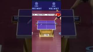 Biggest Rally in World Championships 🧐 pingpong tabletennis tenisdemesa tischtennis shorts [upl. by Panchito]