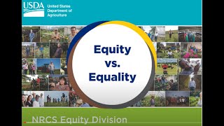 Equity vs Equality [upl. by Rolyks664]