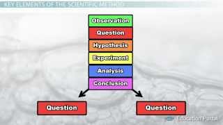 The Scientific Method Steps Terms and Examples [upl. by Ettesil]