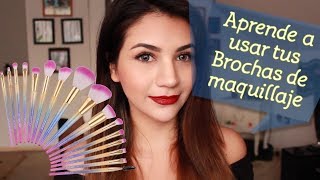 Aprende a utilizar tus Brochas de maquillaje ♥ Reseña Docolor [upl. by Rainie]